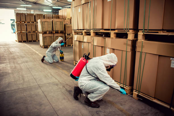 Best Best Pest Control Companies  in Los Lunas, NM