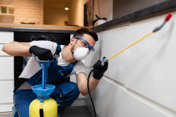 Best Pest Control Near Me  in Los Lunas, NM