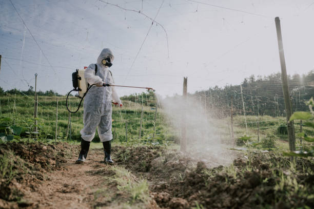 Best Pest Removal Services  in Los Lunas, NM