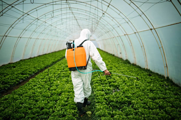 Best Residential Pest Control  in Los Lunas, NM