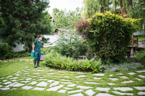 Best Wasp Removal Services  in Los Lunas, NM