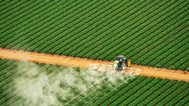 Best Commercial Pest Control Services  in Los Lunas, NM