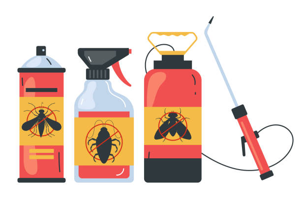 Best Affordable Pest Control Services  in Los Lunas, NM