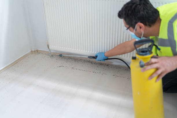 Pest Prevention Services in Los Lunas, NM